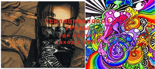 дживик Белоозёрский