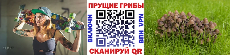 нарко площадка Telegram  как найти наркотики  Борисоглебск  Галлюциногенные грибы прущие грибы 